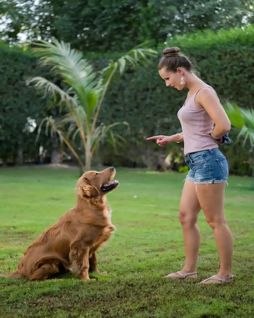 100 tricks to teach your dog