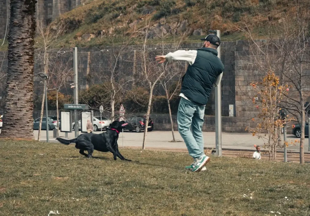 Puppy Talent