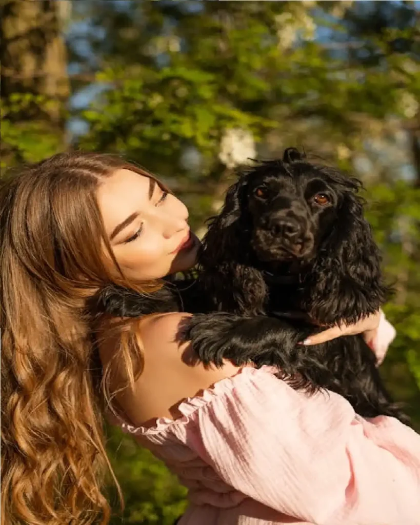 cocker spaniel black