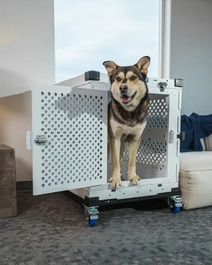 dog crate for large dogs