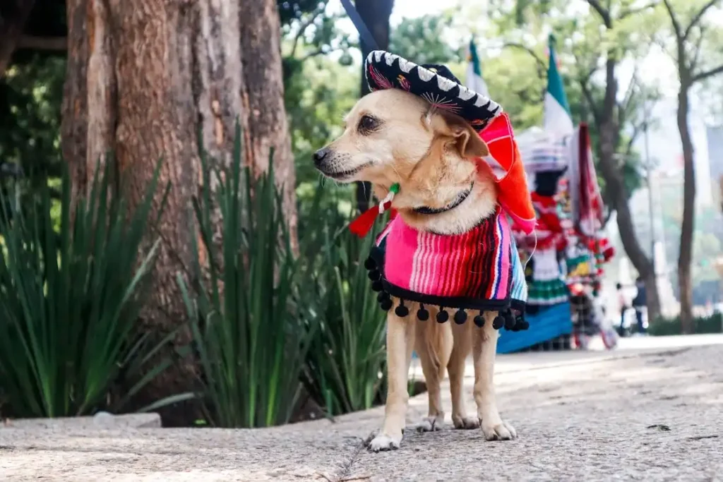 dog movies south