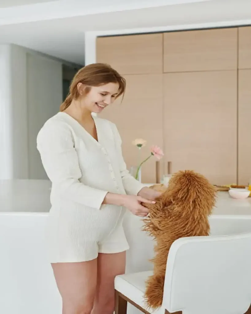 labradoodle price