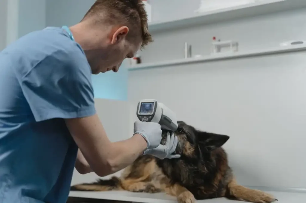 petmeds customer service