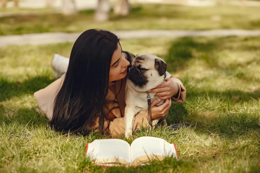 pug