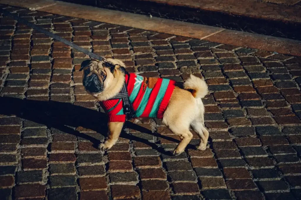 pug colors