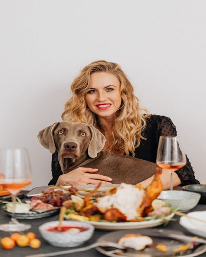 thanksgiving dog cartoon