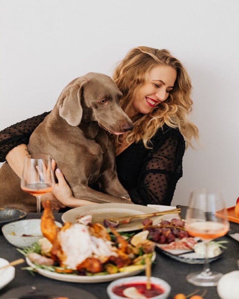thanksgiving dog images free