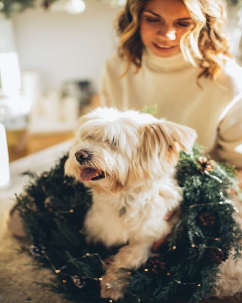 thanksgiving pets