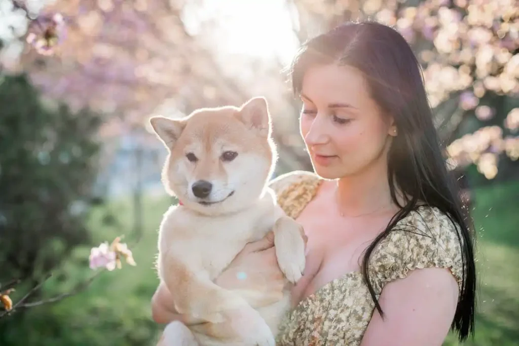 100 pictures of dogs cute