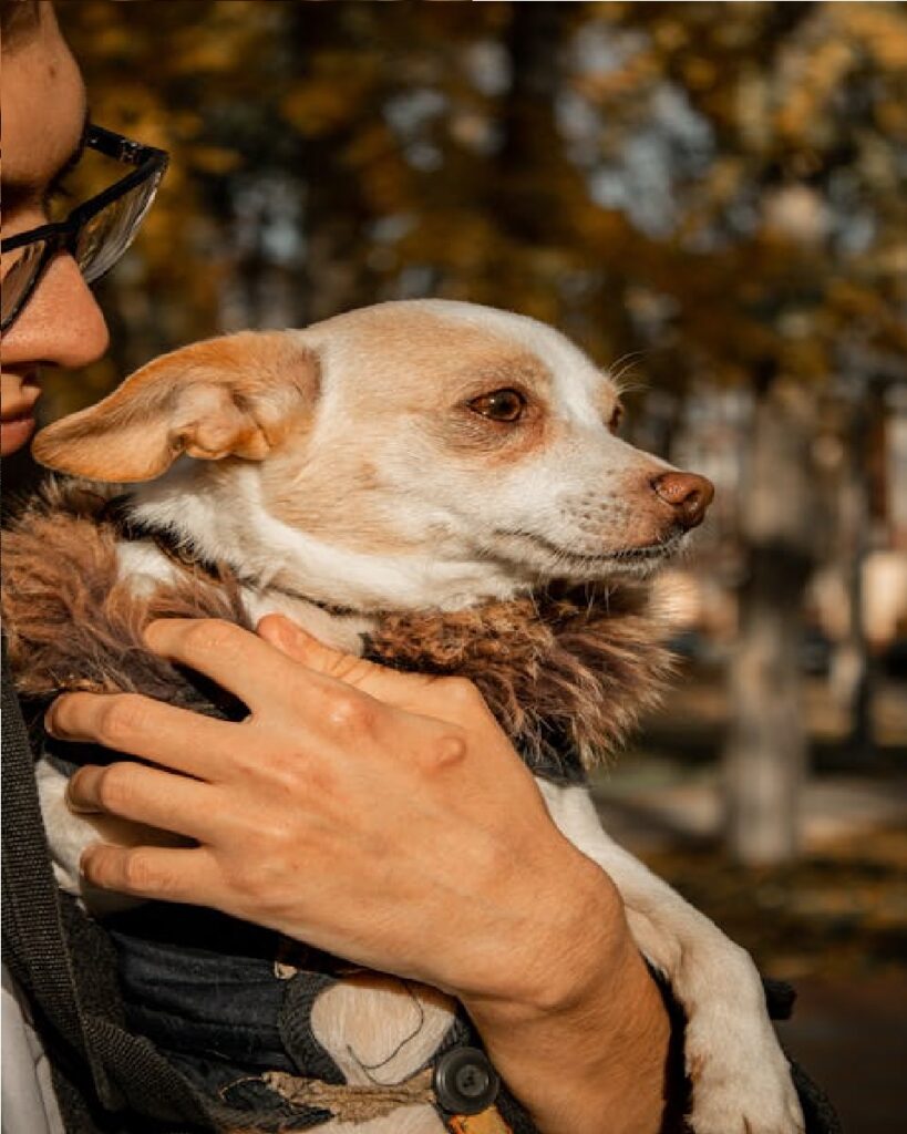 1,000 girl dog names unique