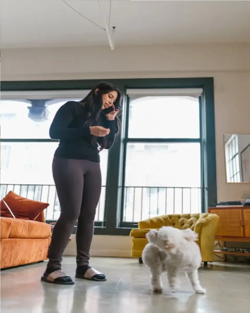 coton de tulear hypoallergenic