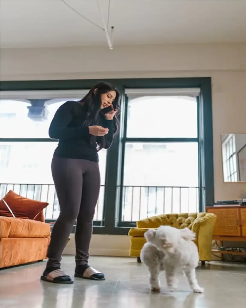 coton de tulear price