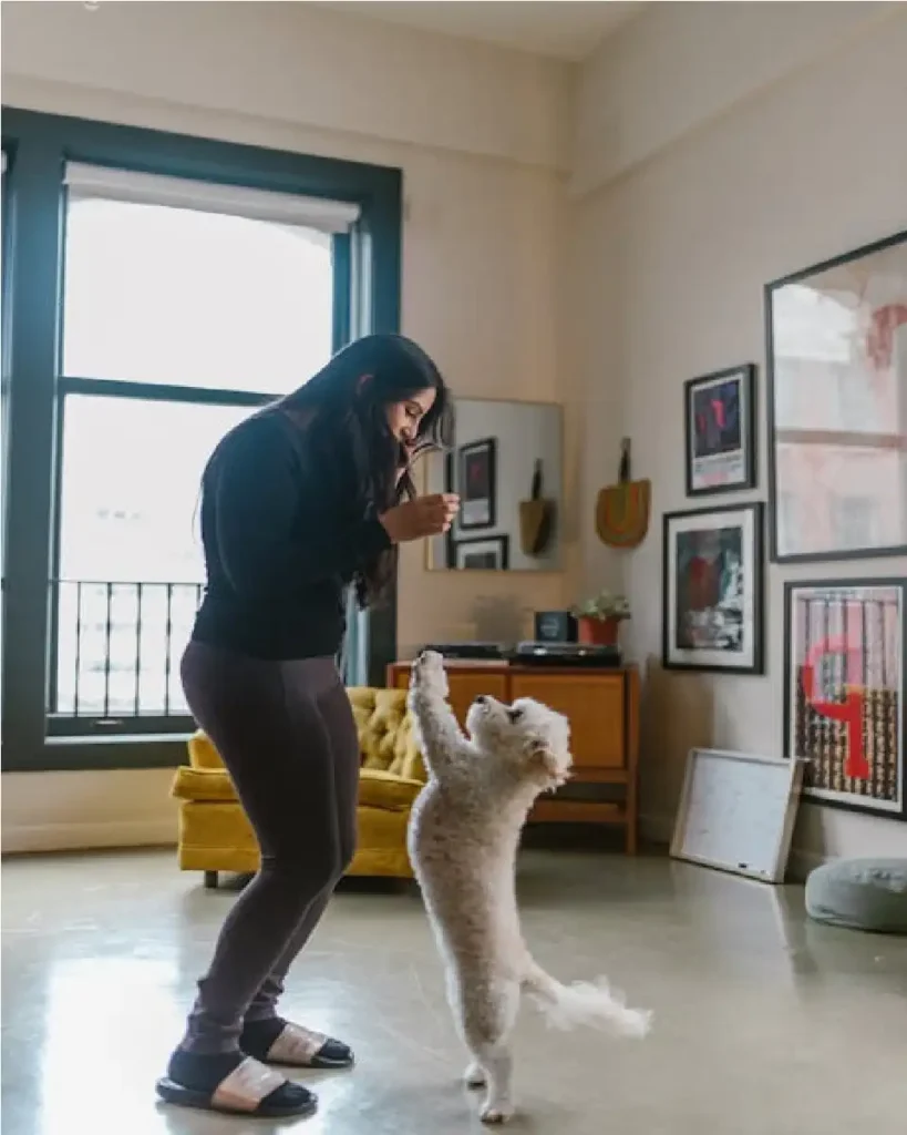 coton de tulear pronunciation