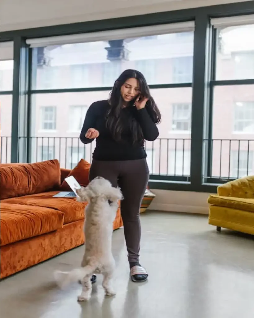 coton de tulear temperament