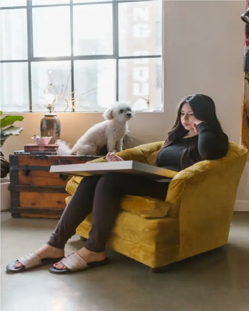 coton de tulear weight