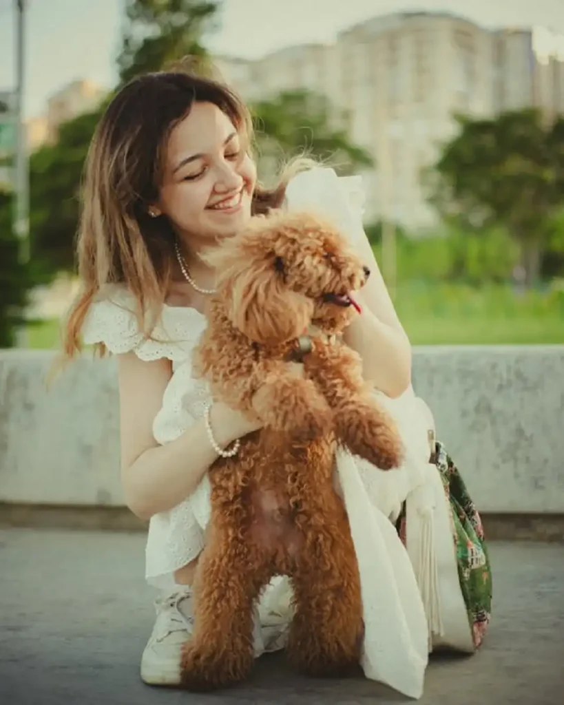 cute dogs cute breeds