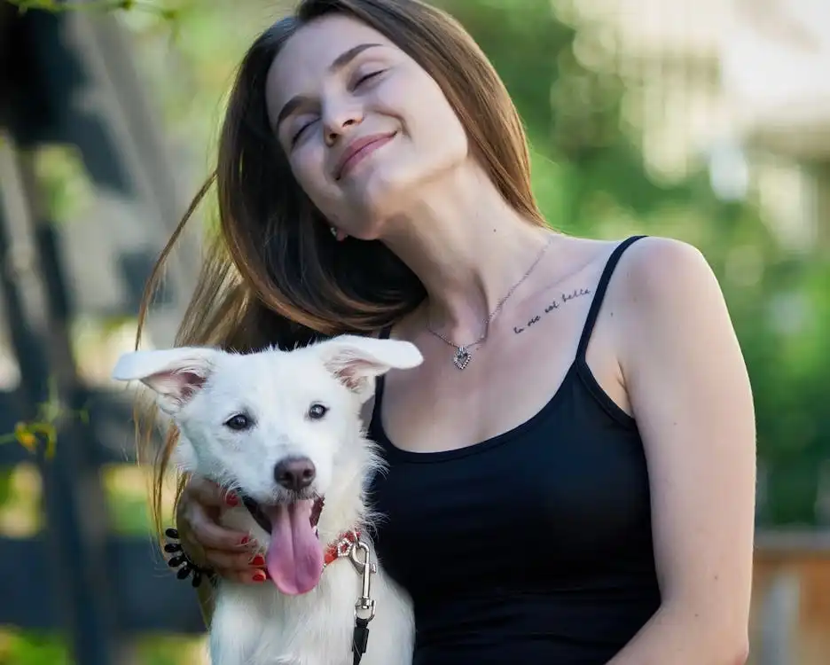 cute dogs cute images