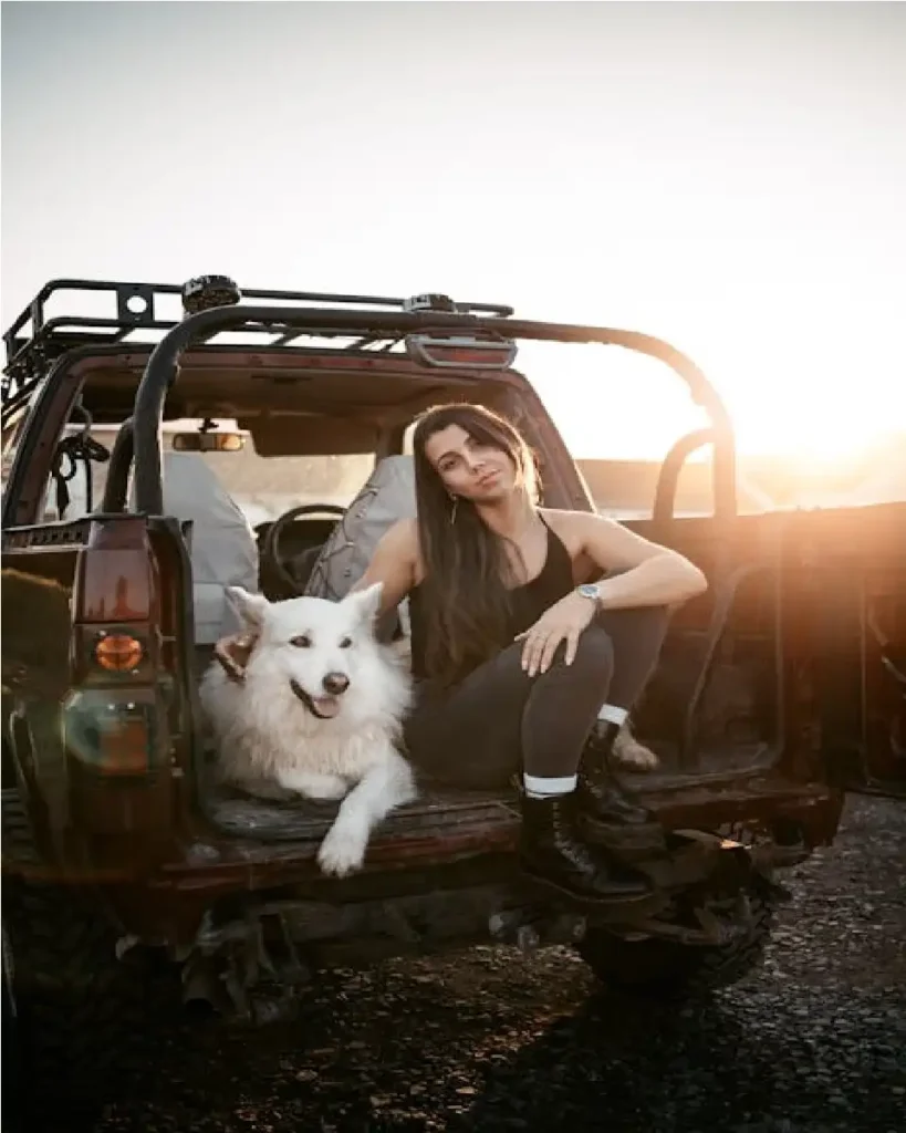 dog car calming