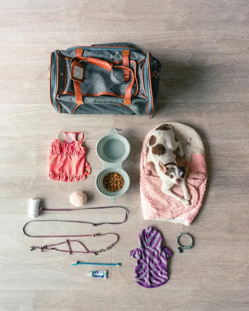 dog harness no pull