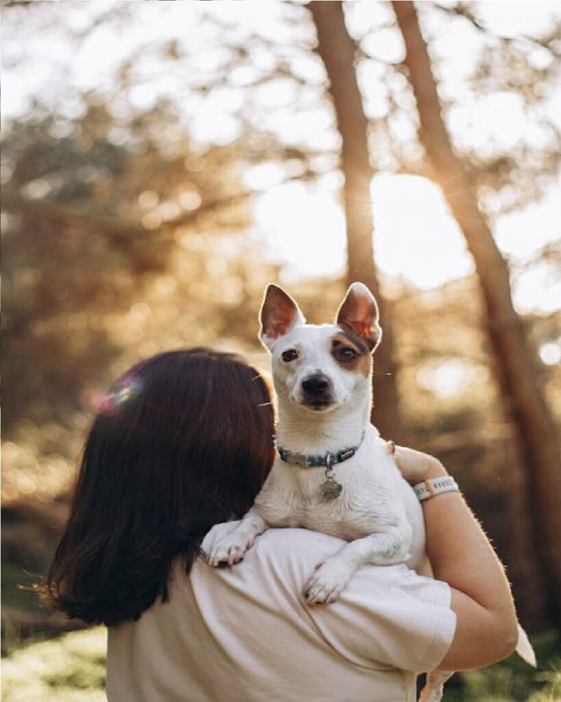 female dog names America