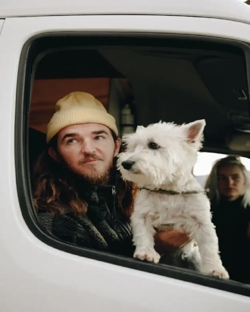 how to calm a stressed dog in the car