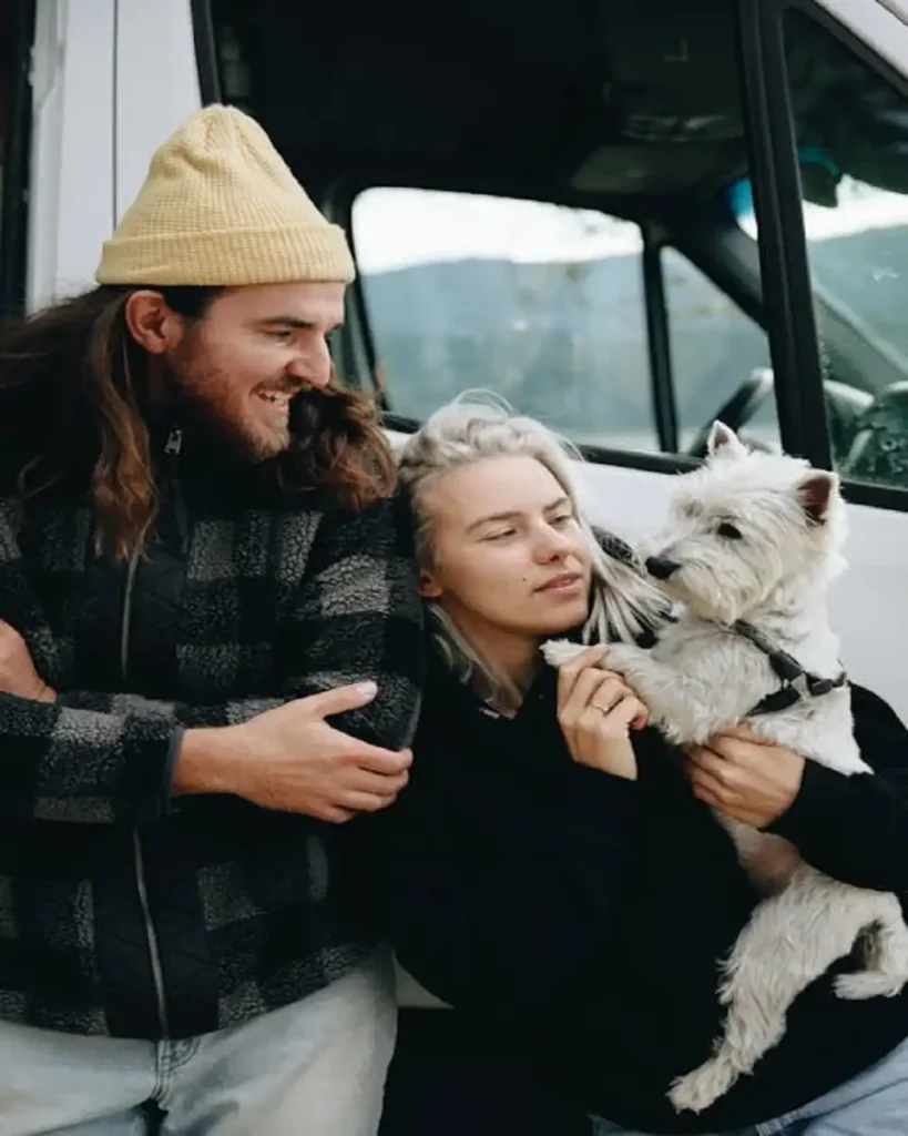 how to help dogs travel in the car