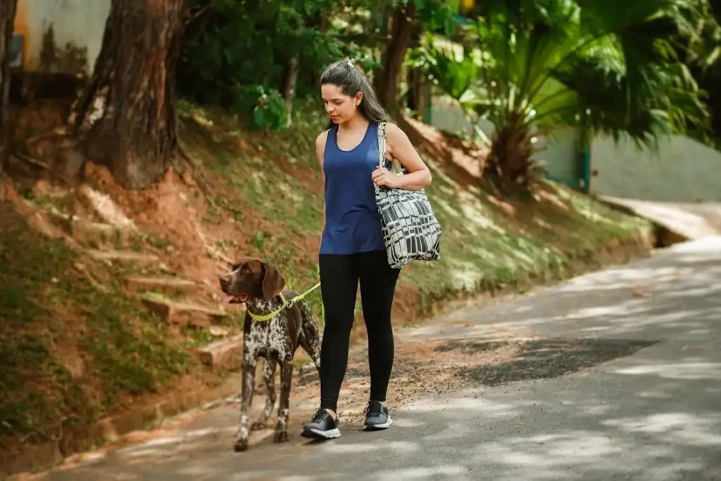 how to travel with an anxious dog