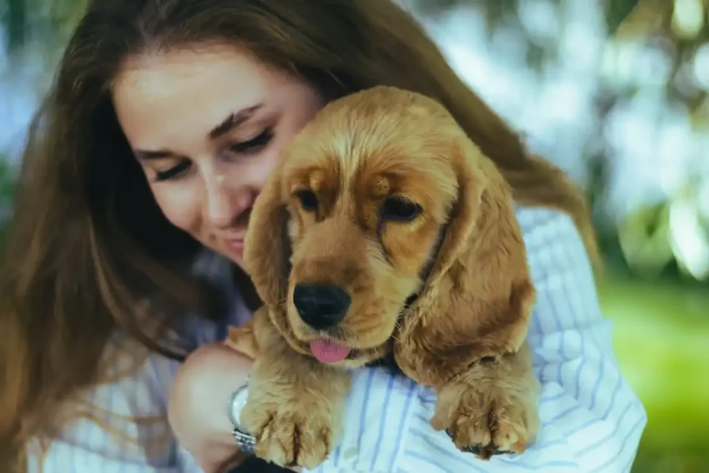 most beautiful dog photos