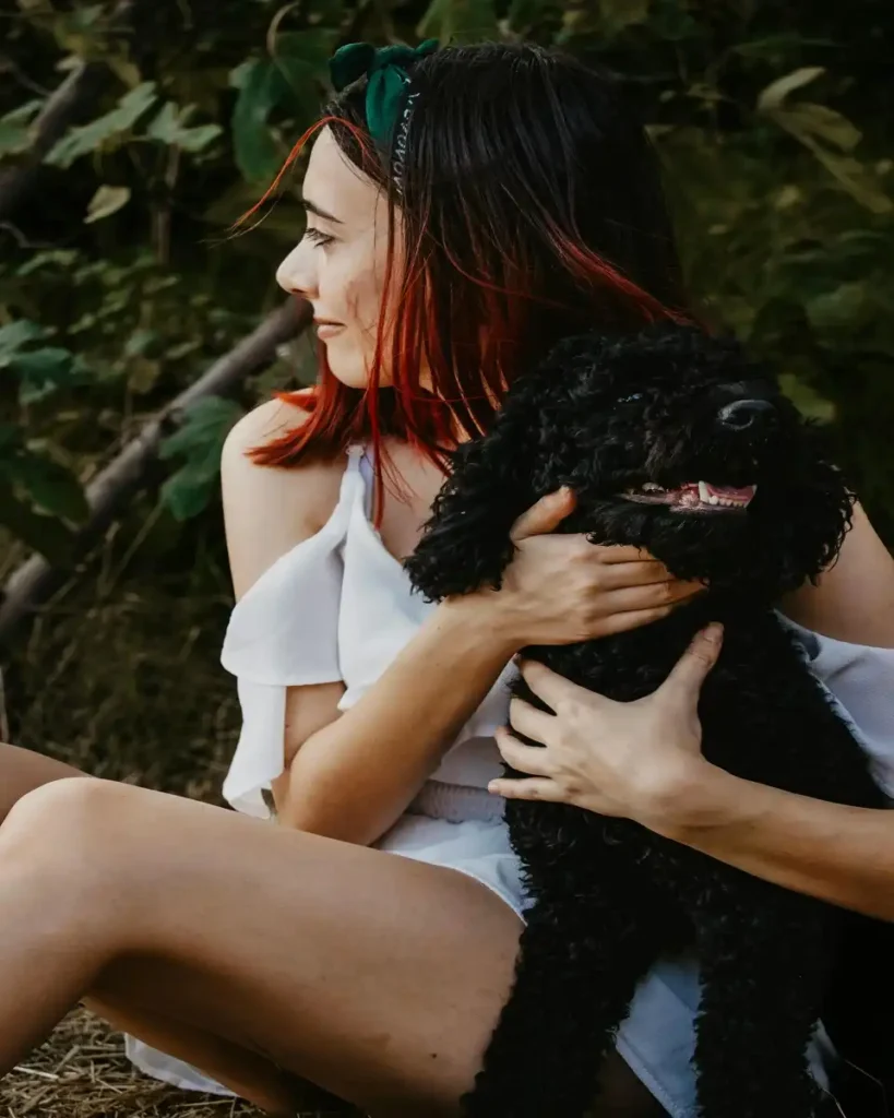portuguese water dog size