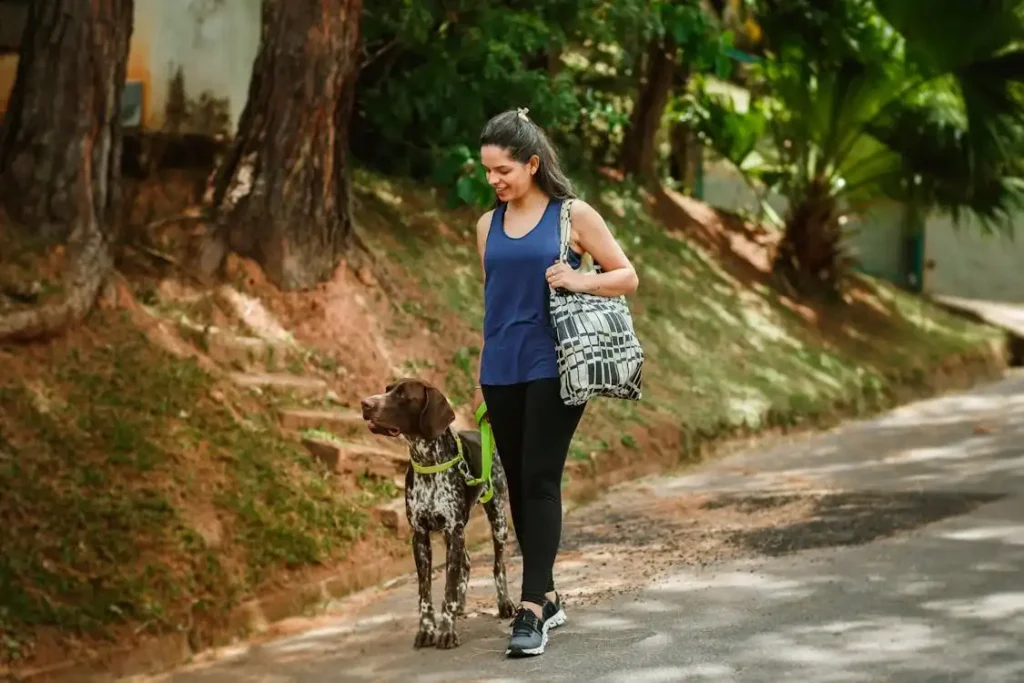 travel medicine for dogs