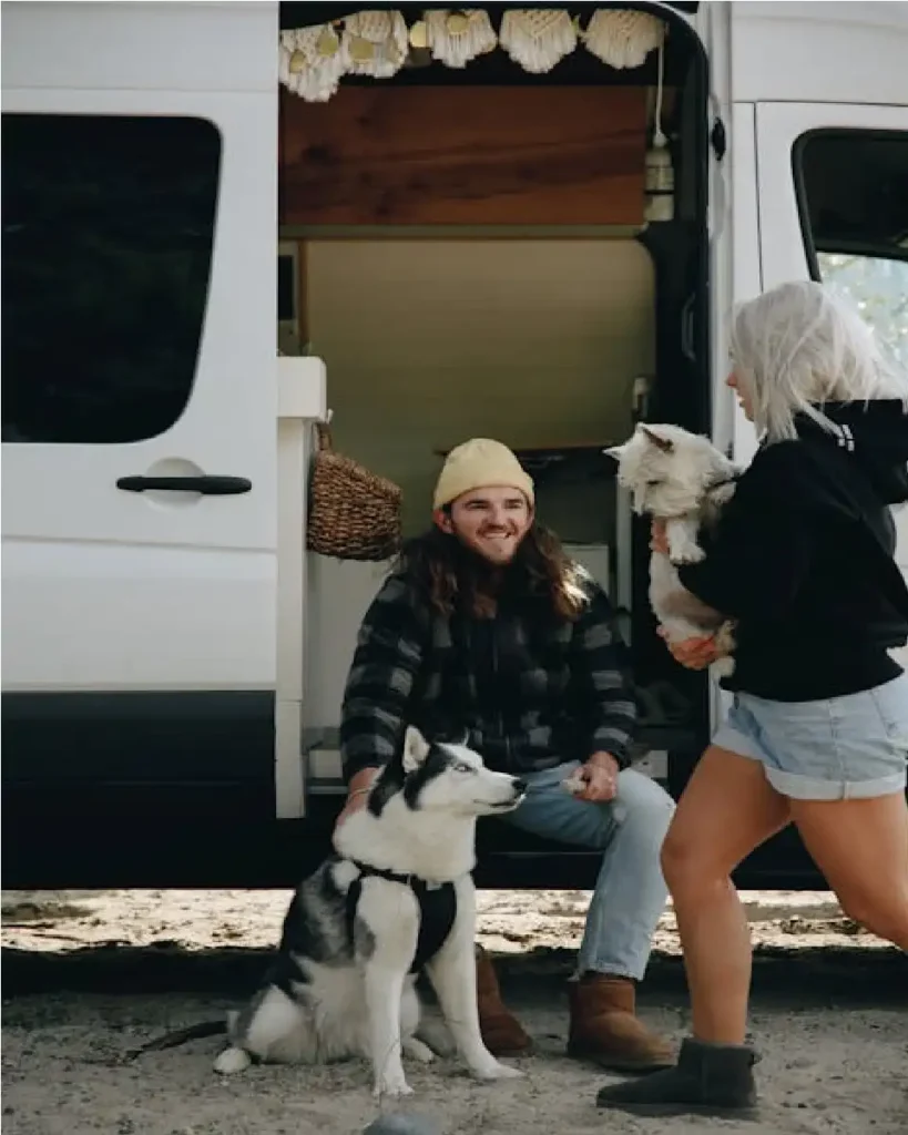 what to give dog to relax in car