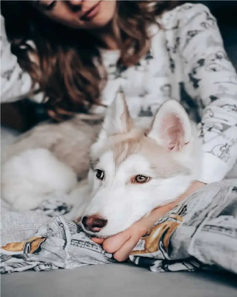 dog behavior pandemic 2025