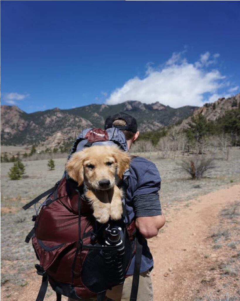 dog carrier bag 15kg