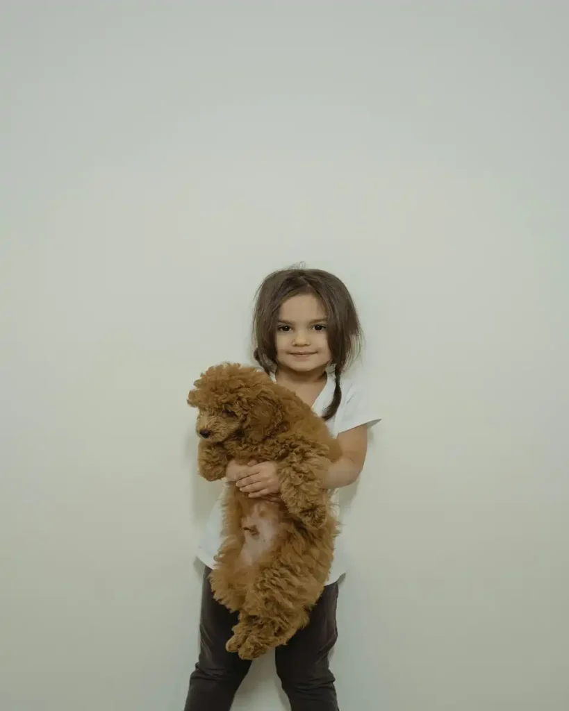 responsible dog owner example