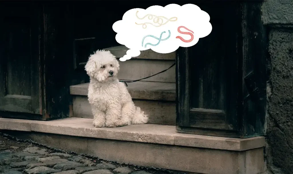 worms in dog poop