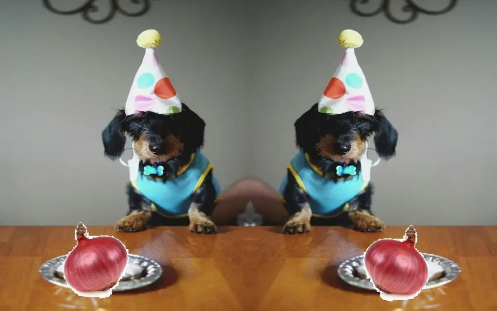 are onions bad for dogs