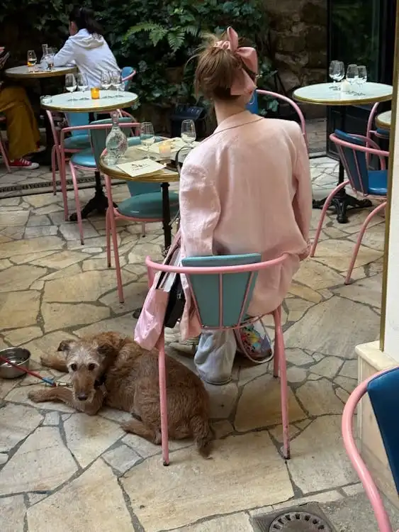 america's got talent dog winner