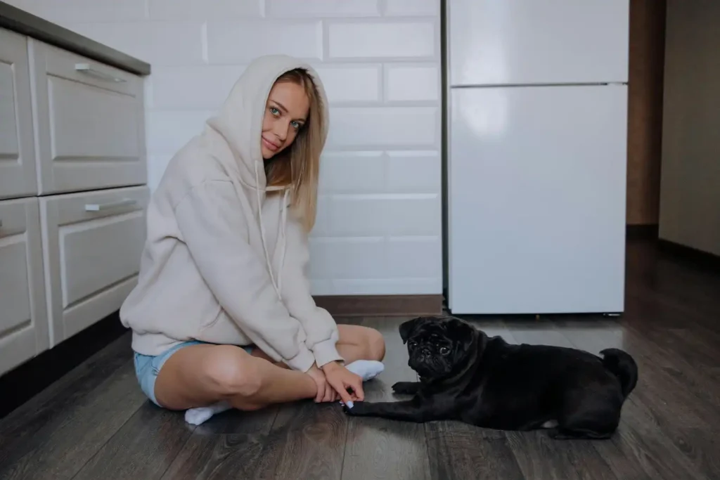 best pug in usa