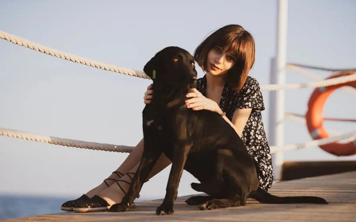 Black Black Lab: 12 Astonishing 2025 Care & Training Secrets for a Happy Dog on Talent Dogs