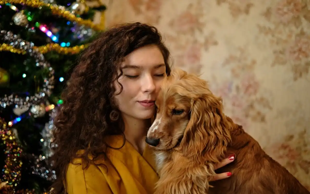 Cocker Spaniel 2025 Ultimate Guide: Top 10 Training Tips, Care & Unique Talents | Talent Dogs