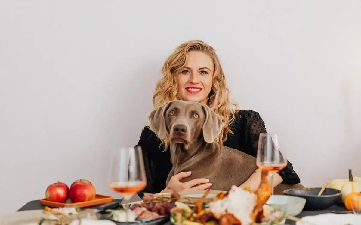 Pictures of Thanksgiving Dogs 2025: 15 Stunning Festive Pup Photos to Brighten Your Holiday