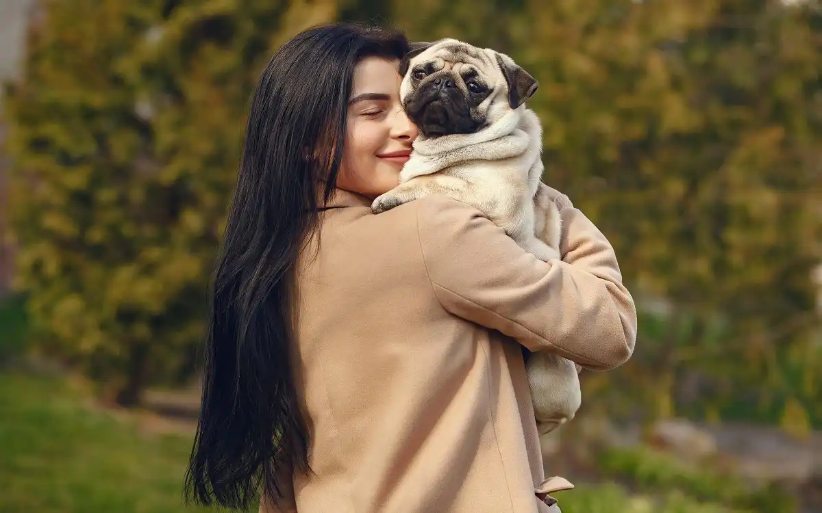 Pug and Pug 2025: 10 Amazing Secrets for Happy, Healthy Pugs Revealed!