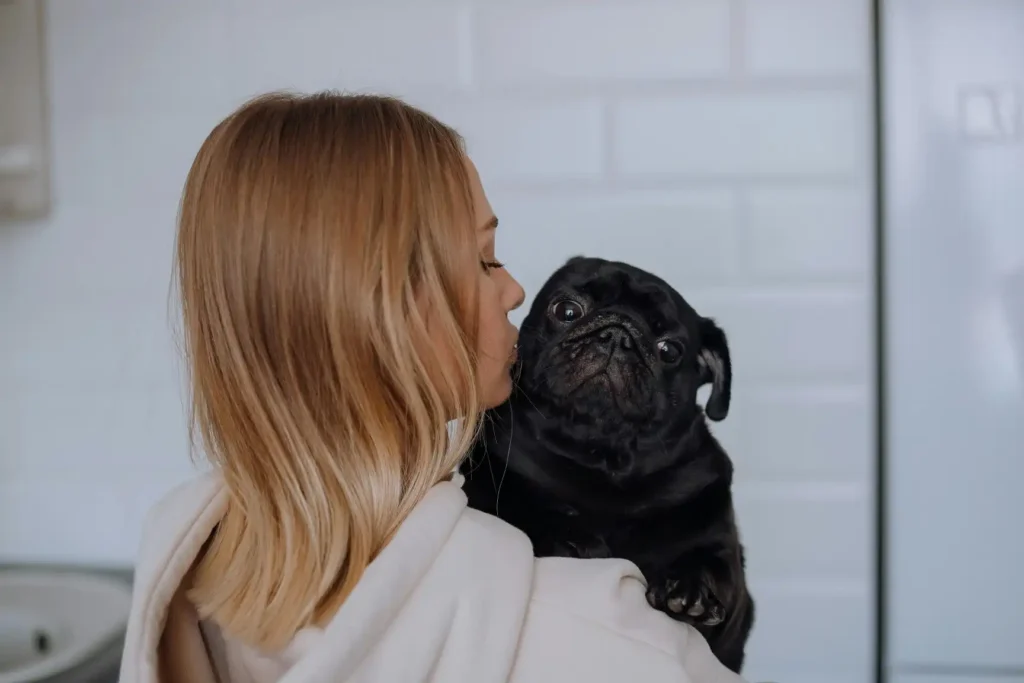 pug price