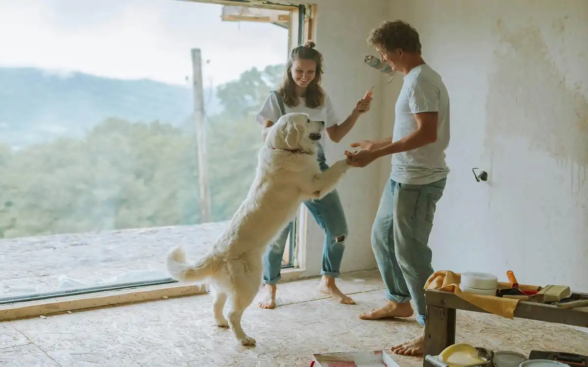 Big Dog Breeds: 10 Astonishing Giants You Must Know in 2025 | Talent Dogs