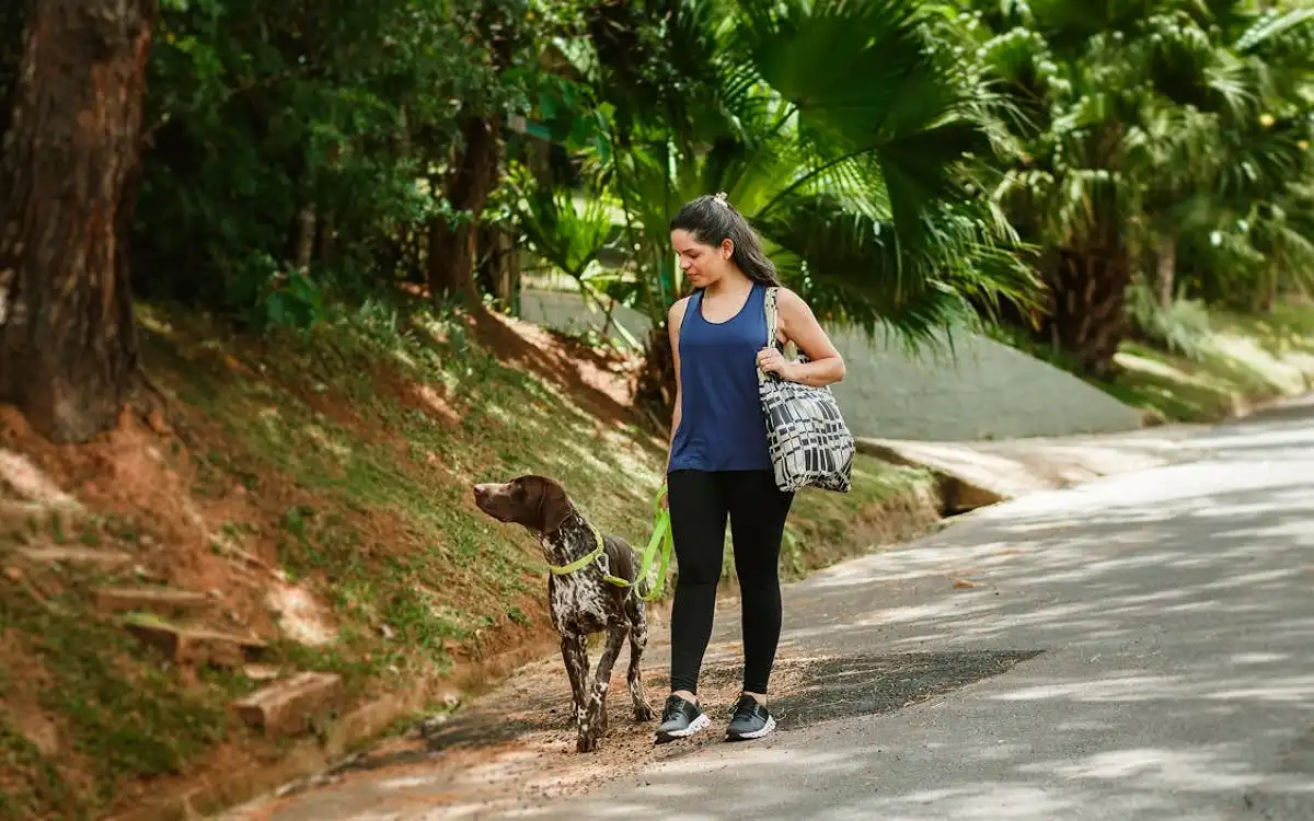 How to Keep Your Dog Road Trip Healthy and Energized on Long Road Trips