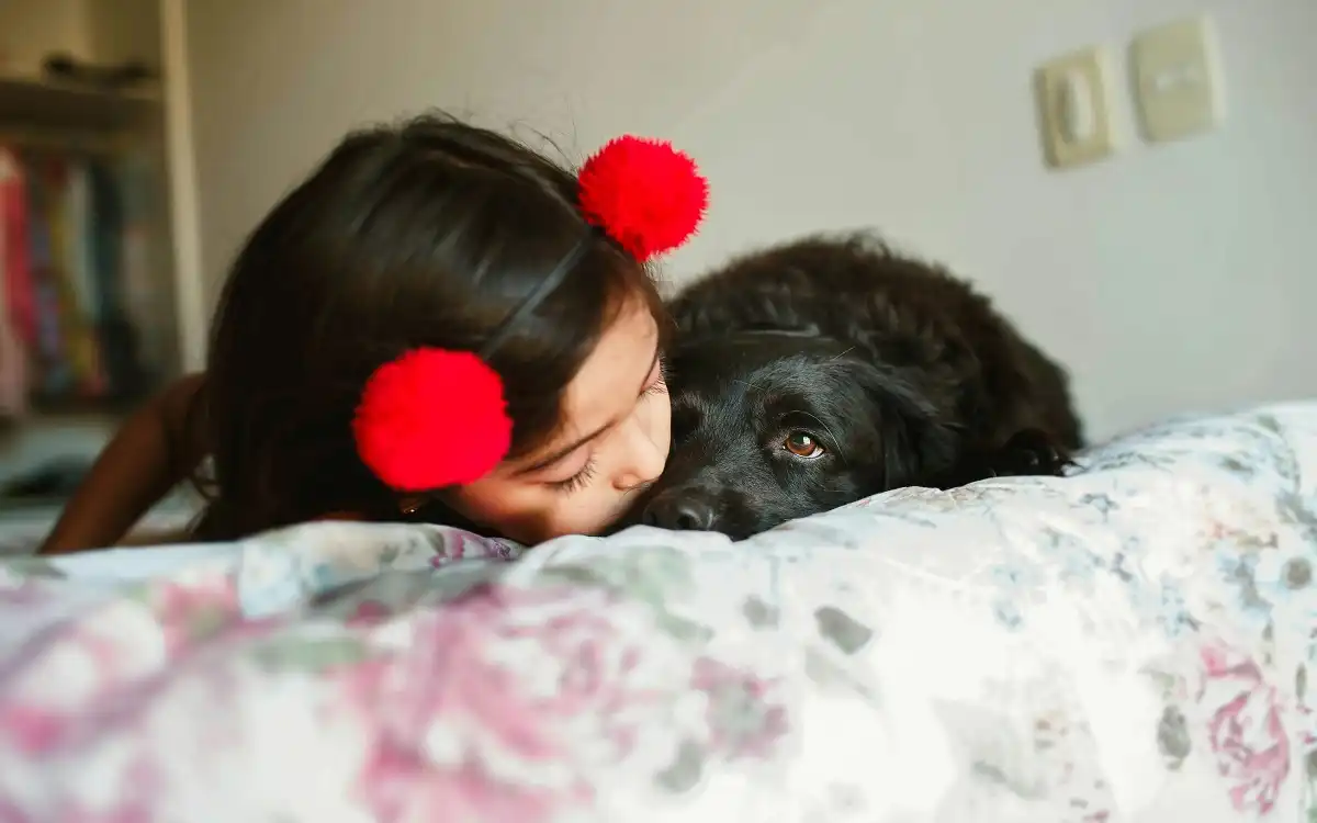 Types of Dogs 2025: 10 Amazing Breeds & Expert Care Tips | Talent Dogs
