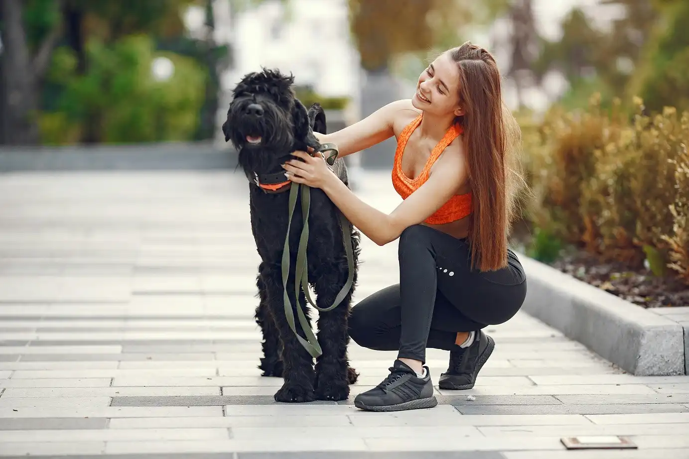 75 Ways to Be a Responsible Dog Owner by Talent Dogs