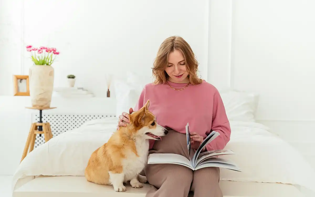 Small Dogs: 7 Amazing Breeds With Incredible Talents & Training Tips | Talent Dogs