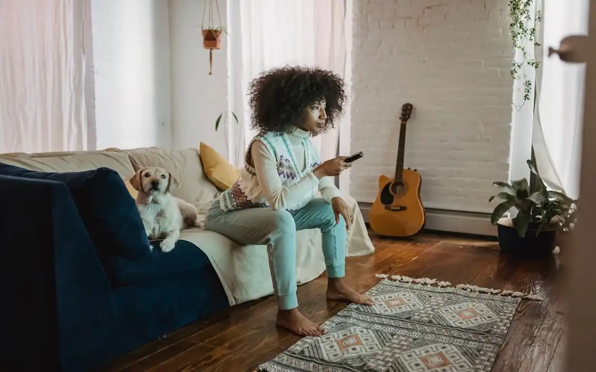 What Dogs Like on TV: 7 Captivating Shows That Will Surprise Every Canine in 2025