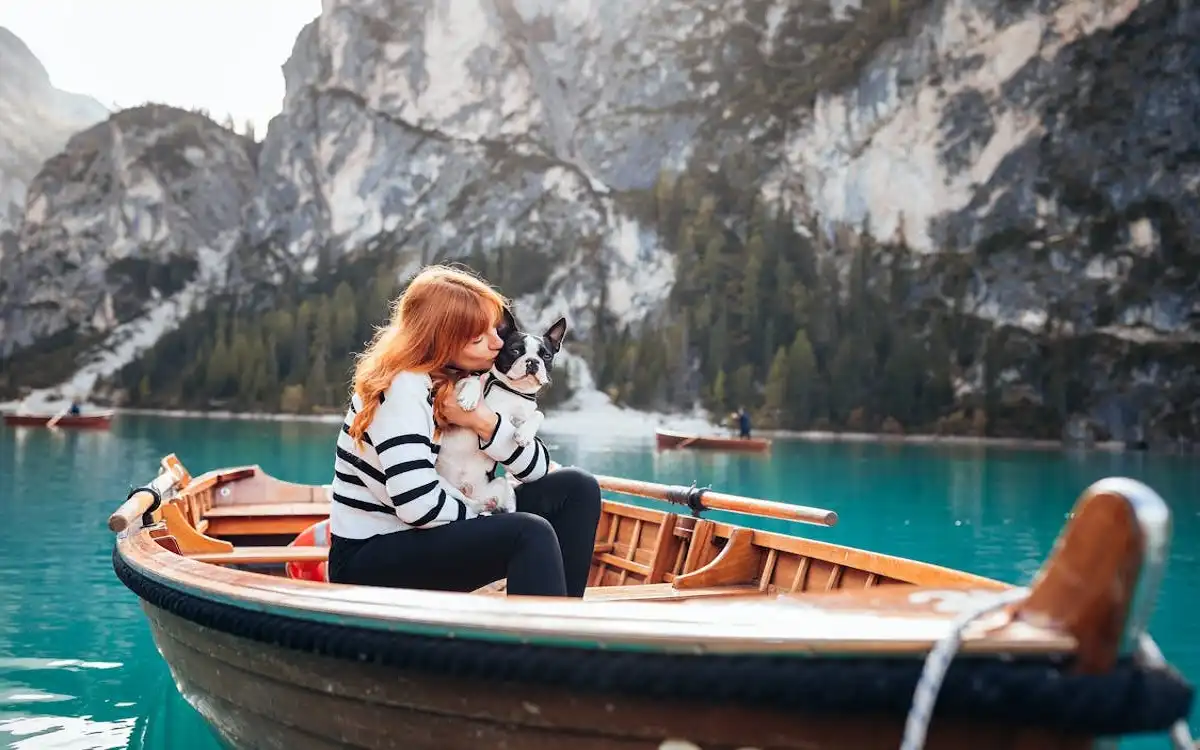 7 Shocking Viking Boat Burial Dog Secrets Unearthed